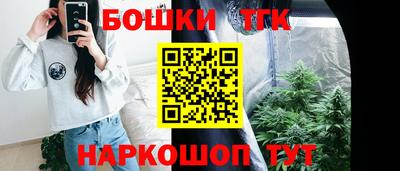 гидра Тулун