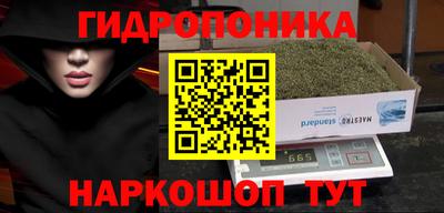 гидра Тулун